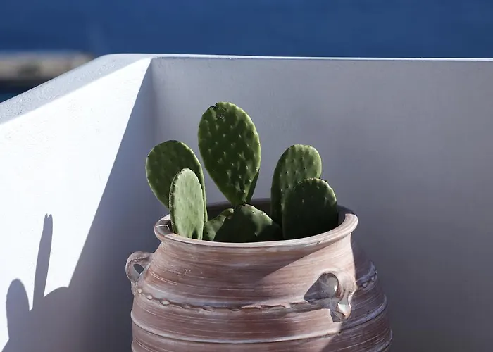 La Maison Blanche 3* Agios Stefanos (Mykonos)